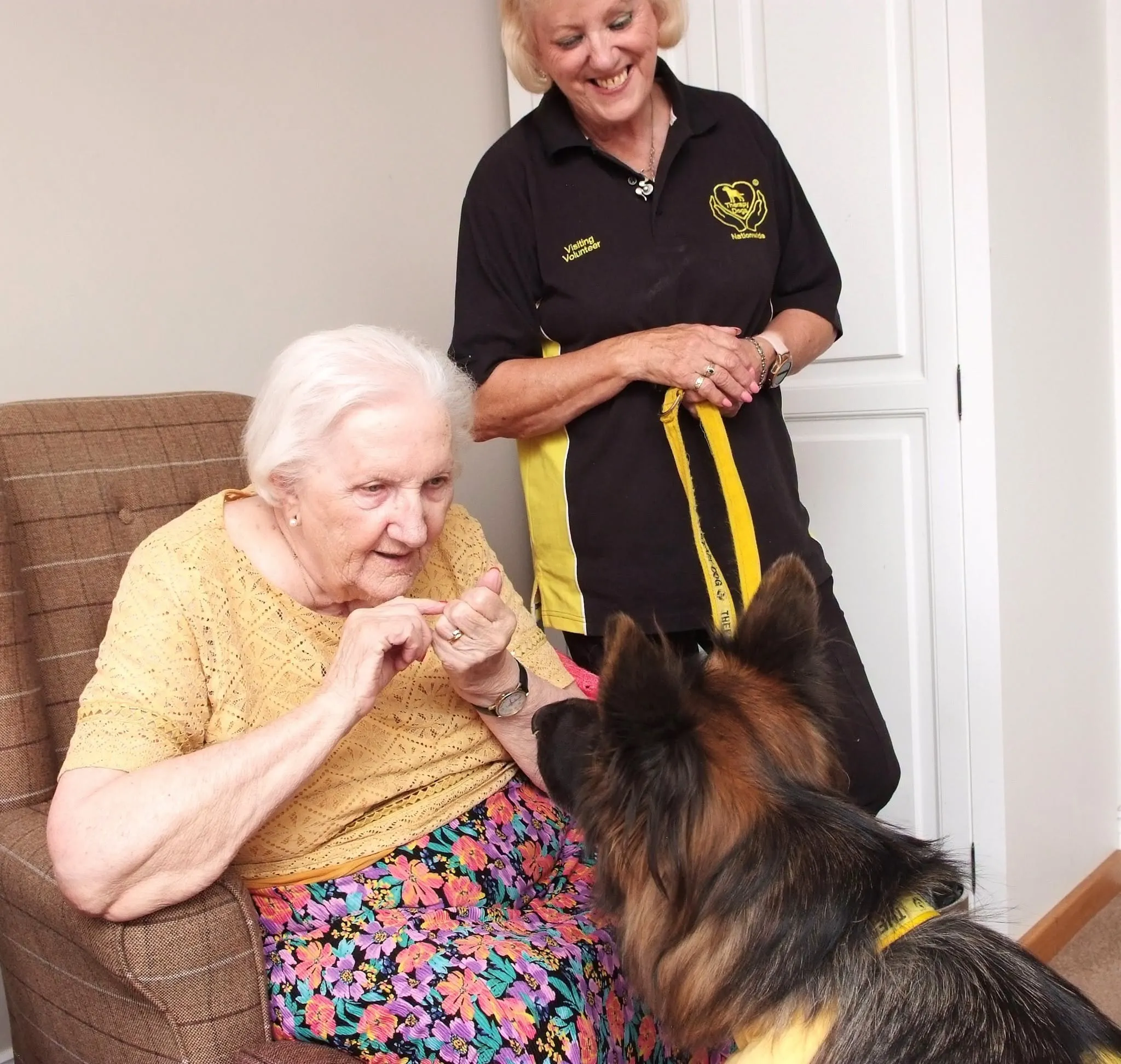 Therapy dogs