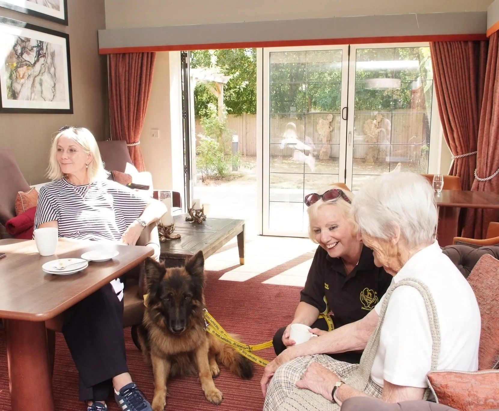 Therapy dogs