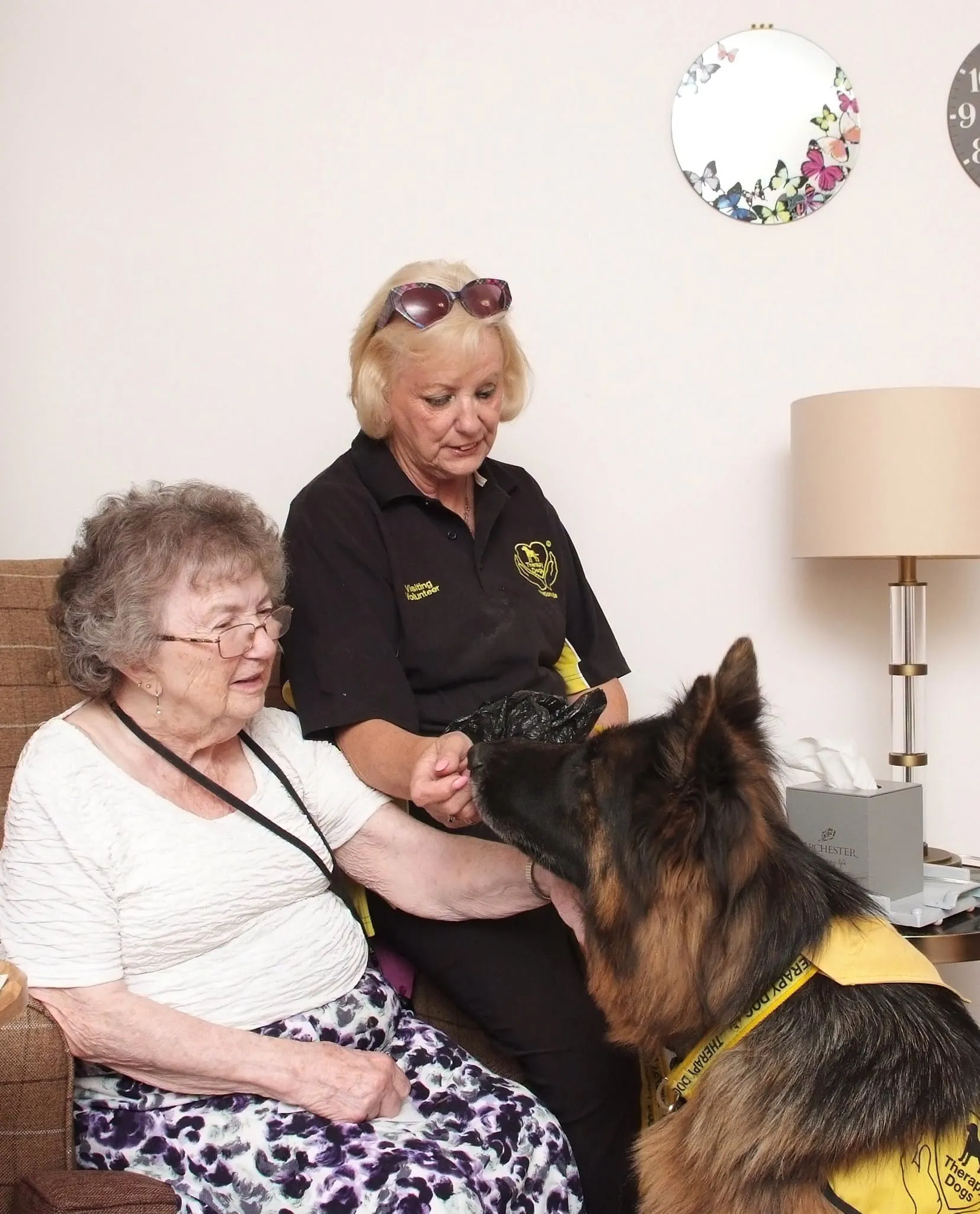 Therapy dogs