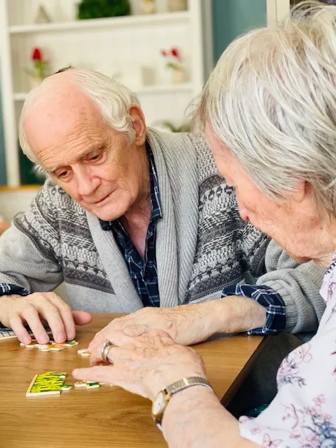 Did they get into a puzzle? You bet they did! 