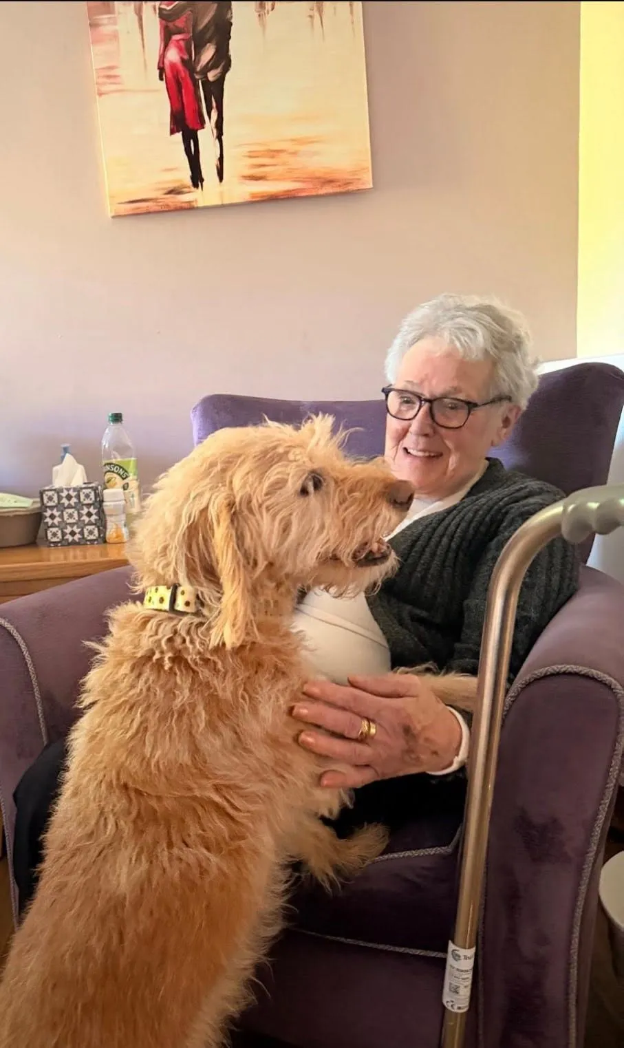 Pet Therapy!!