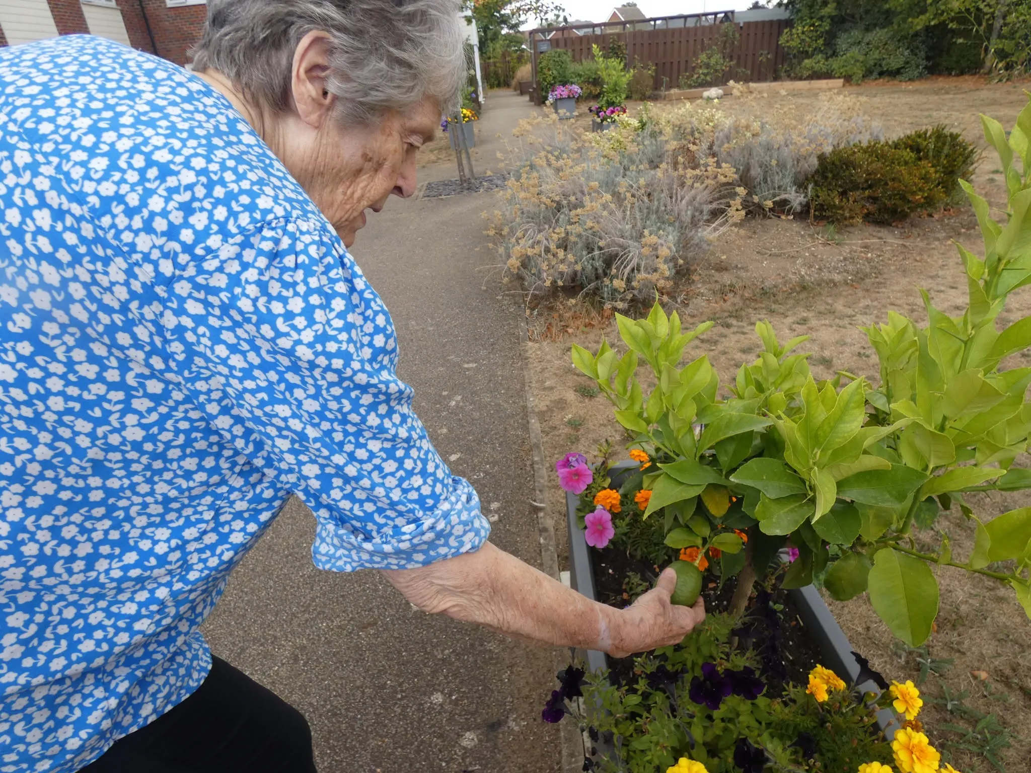 Gardening Club