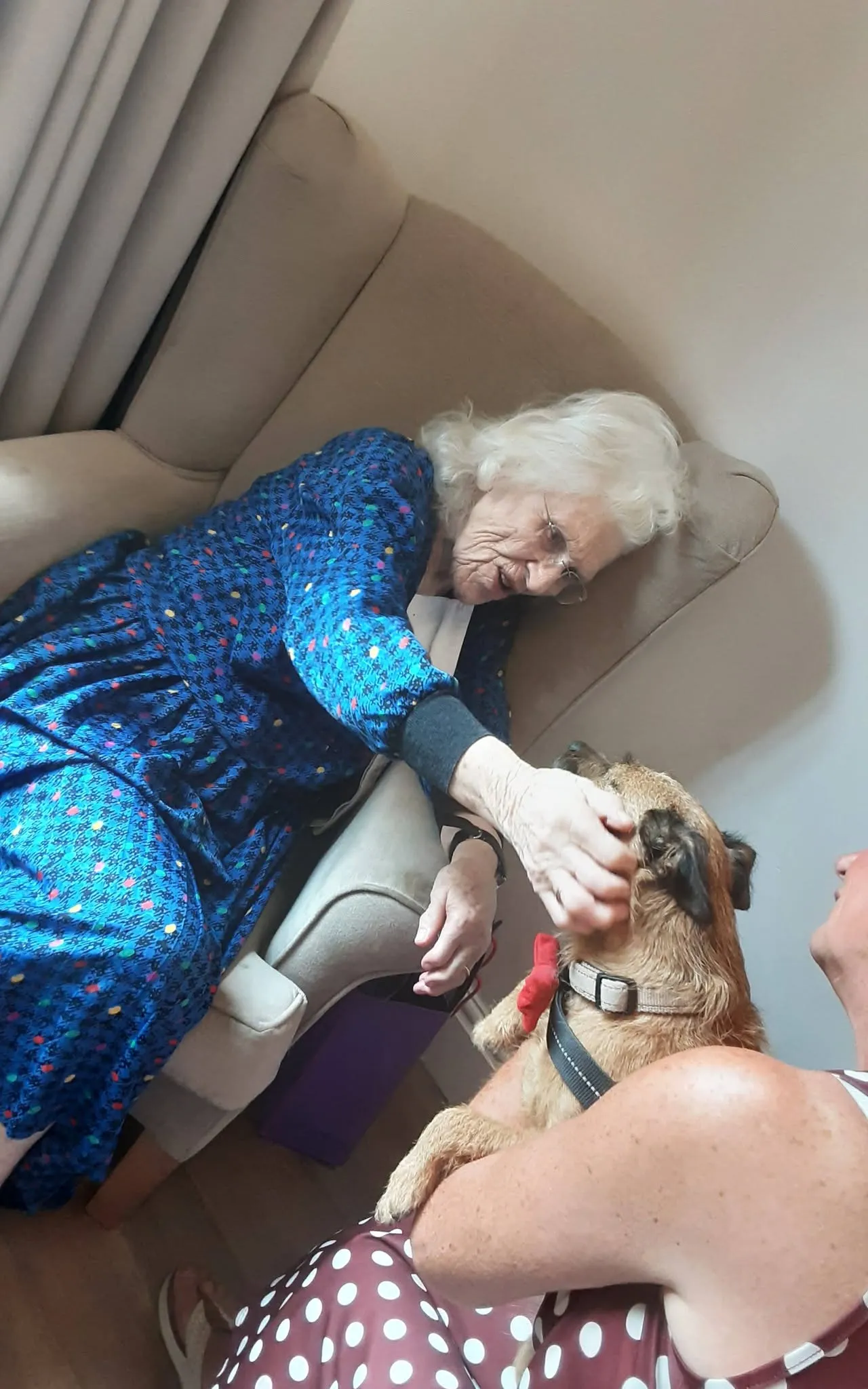 Furry Friends at Mount House
