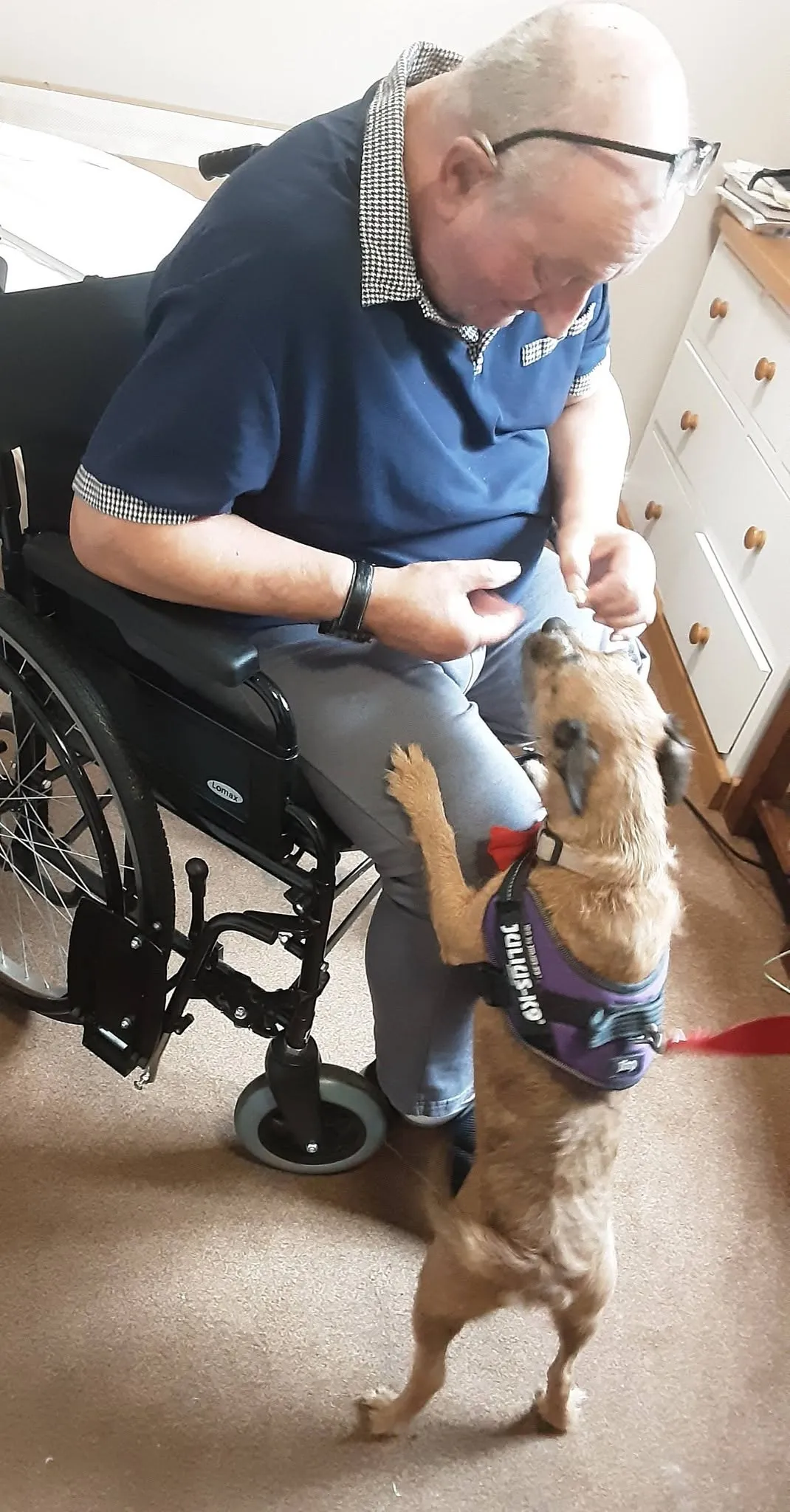 Furry Friends at Mount House
