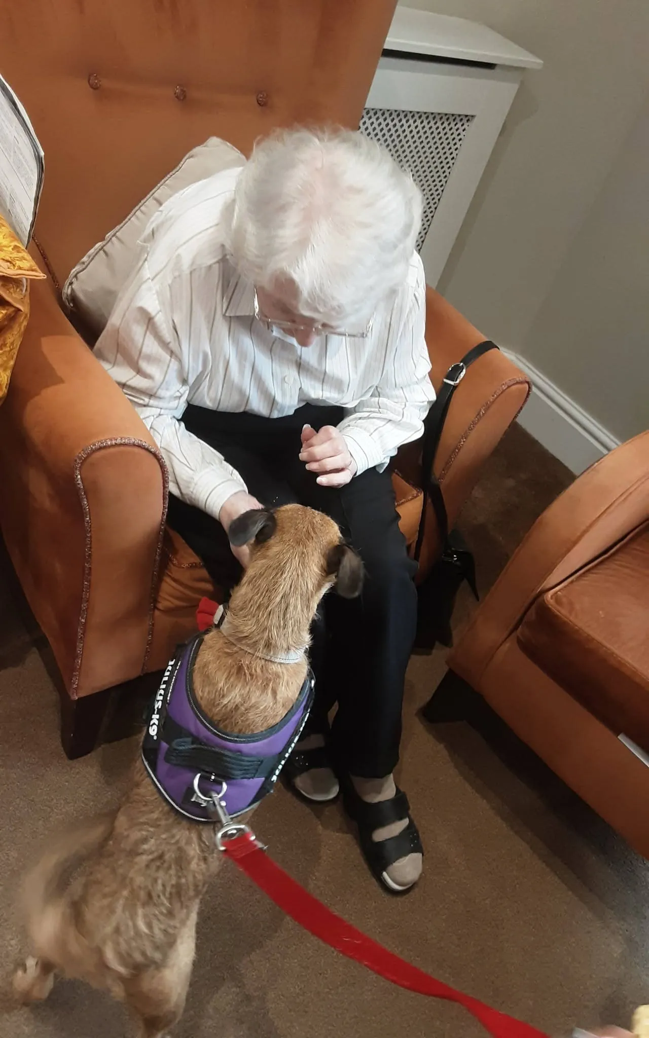 Furry Friends at Mount House
