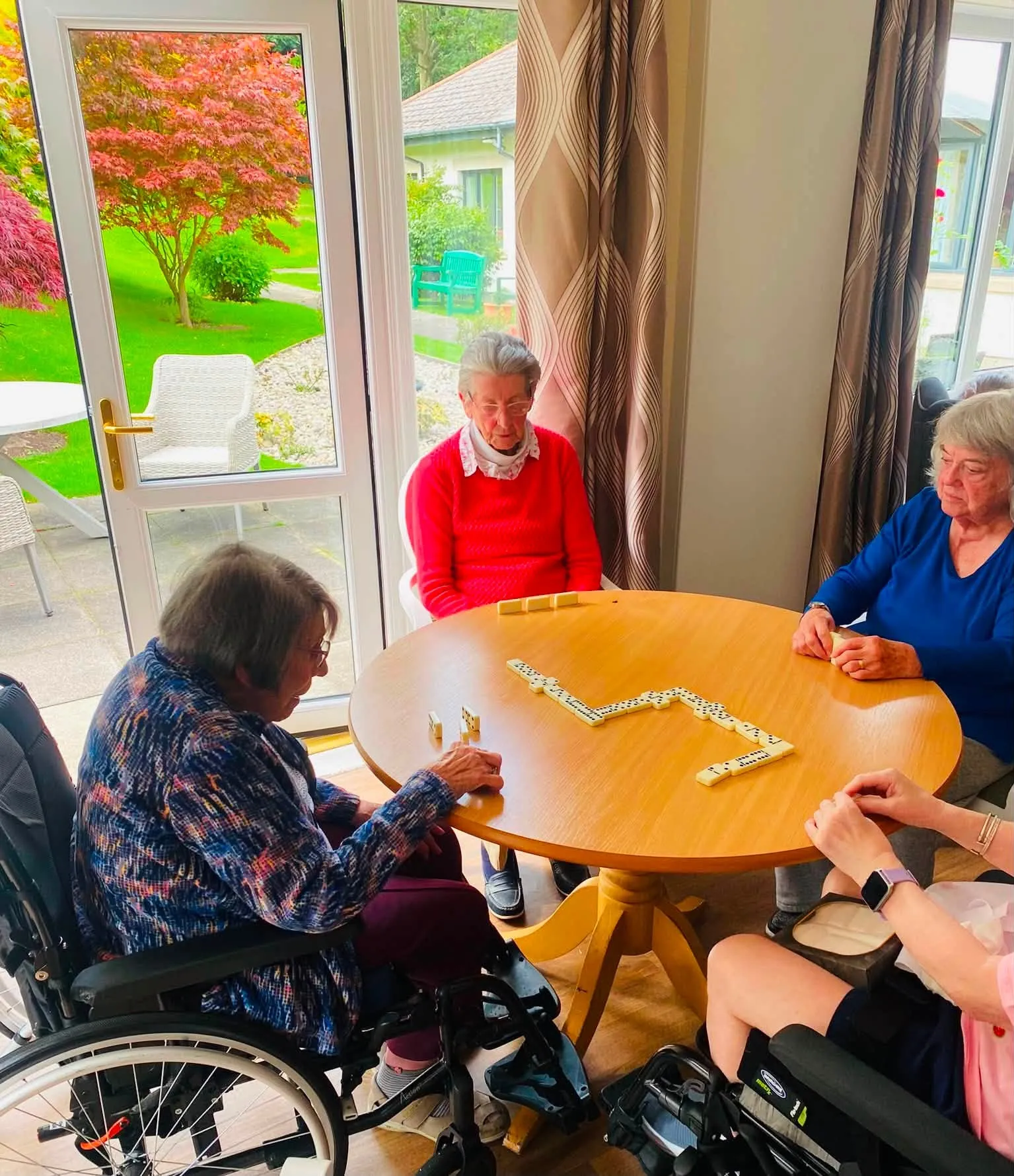 Dominoes club with a garden view 