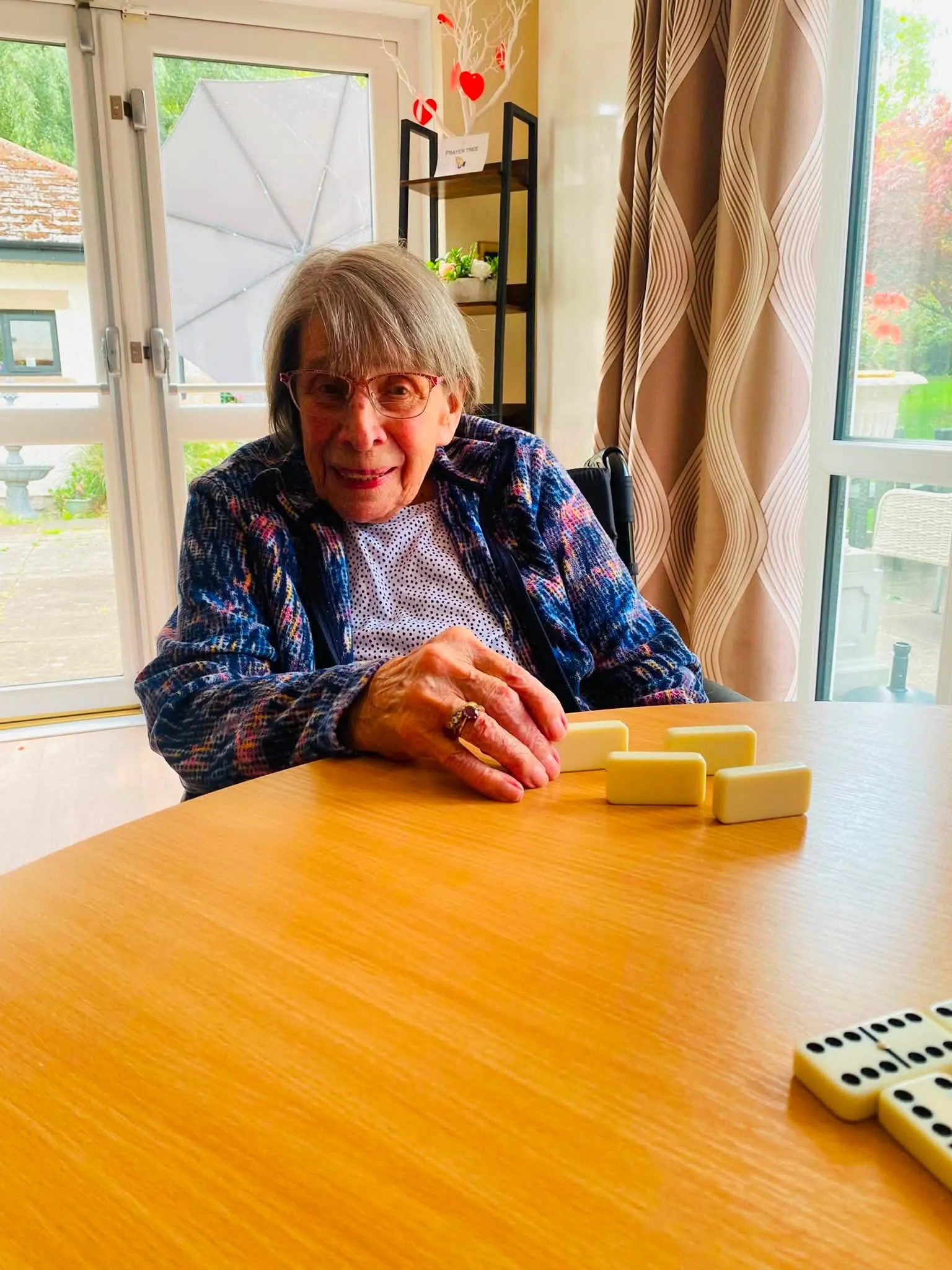 Dominoes club with a garden view 