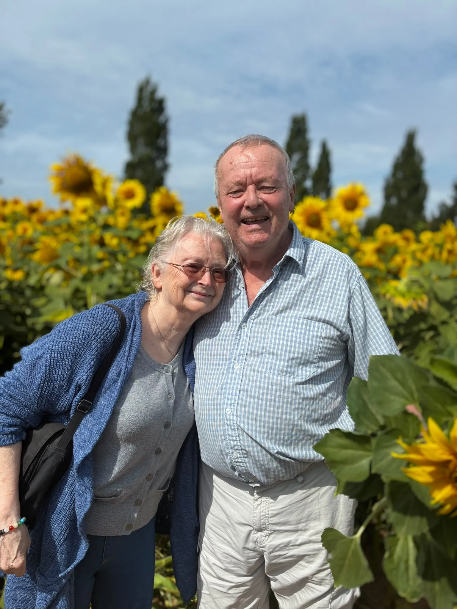 Sunflower trip to Darts Farm