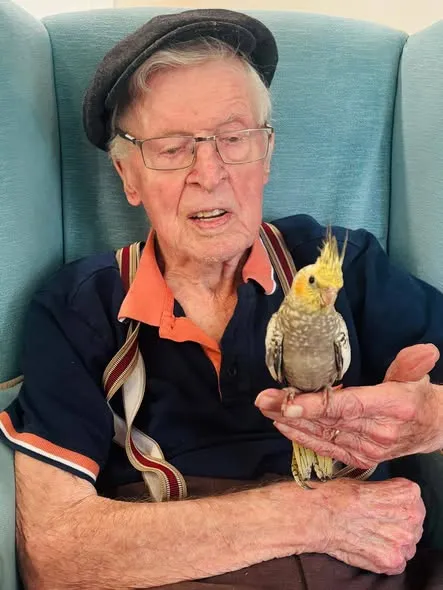 Performing pets visit