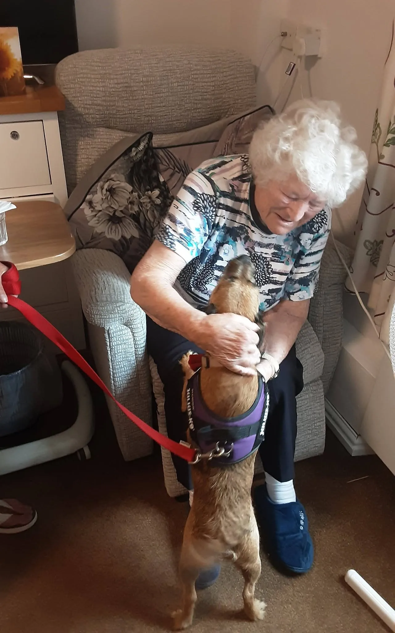 Furry Friends at Mount House