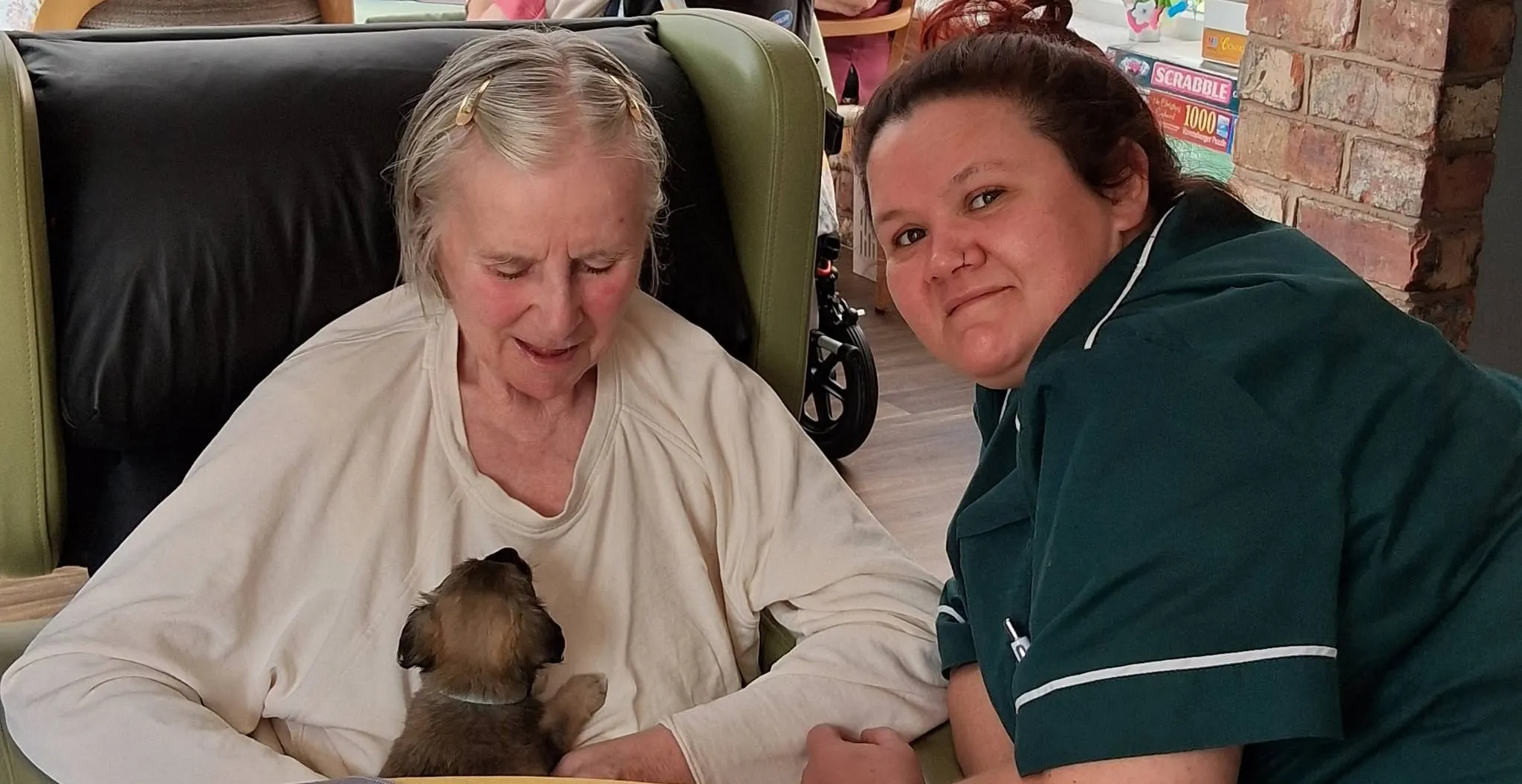 Furry Friends at Mount House