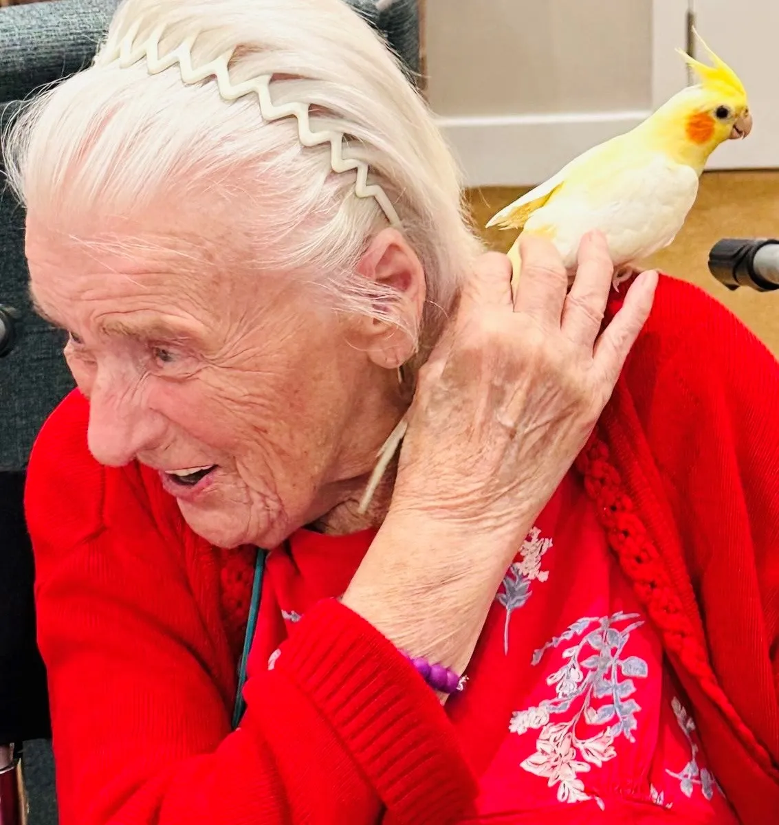 Feathers, fun and plenty of chatter!