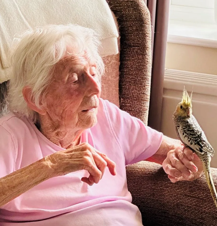 Feathers, fun and plenty of chatter!