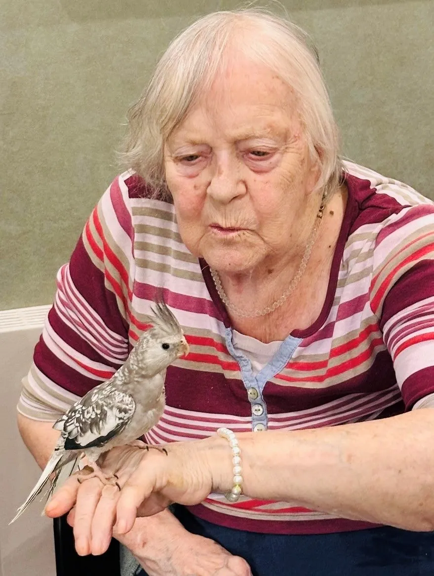 Feathers, fun and plenty of chatter!