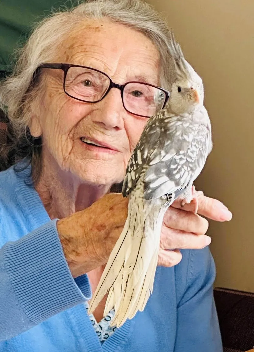 Feathers, fun and plenty of chatter!