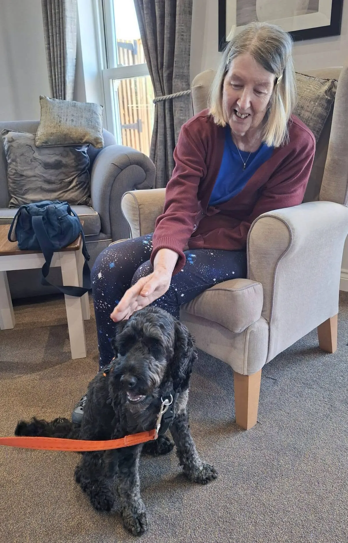 Pet Therapy