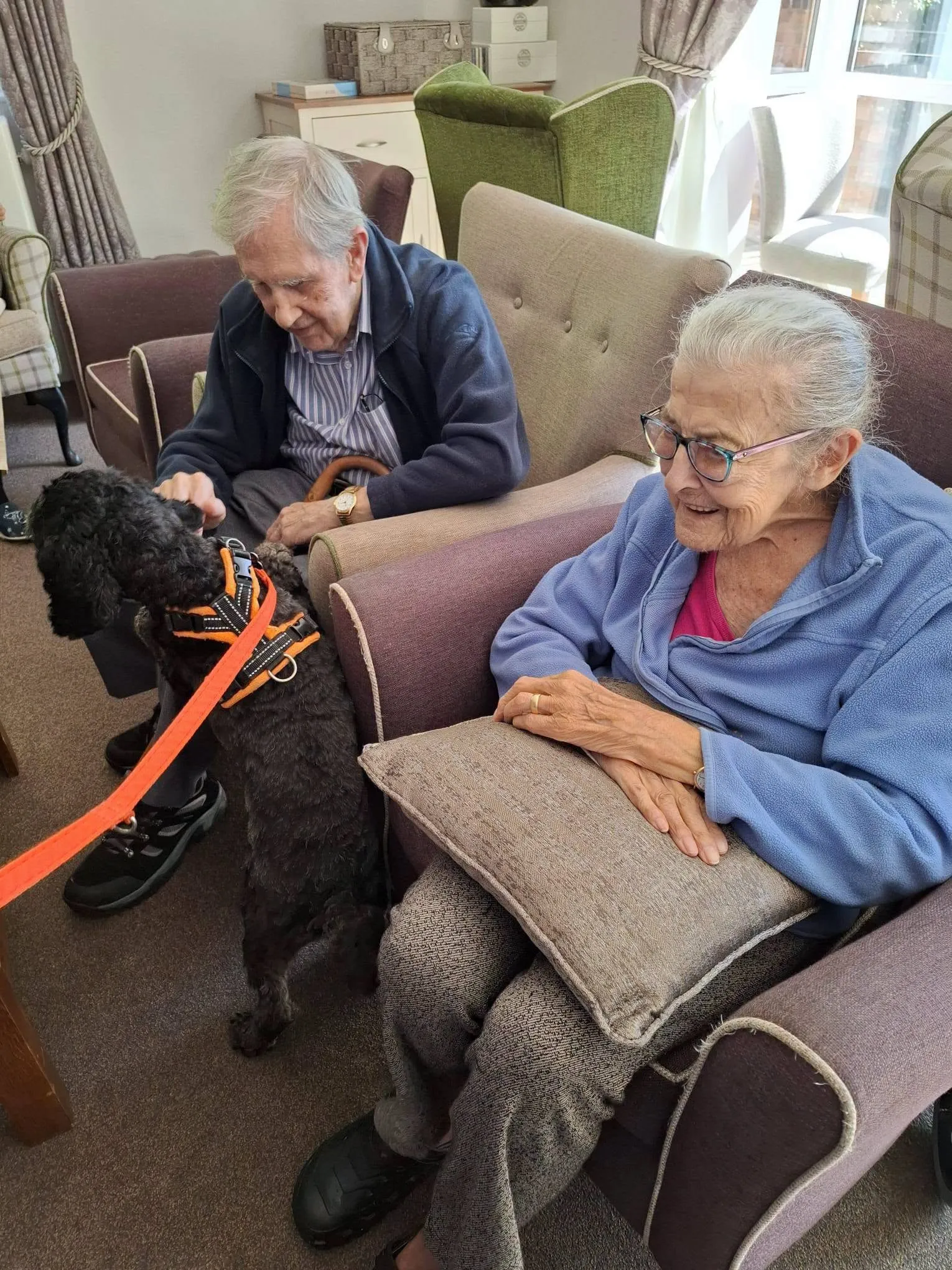 Pet Therapy