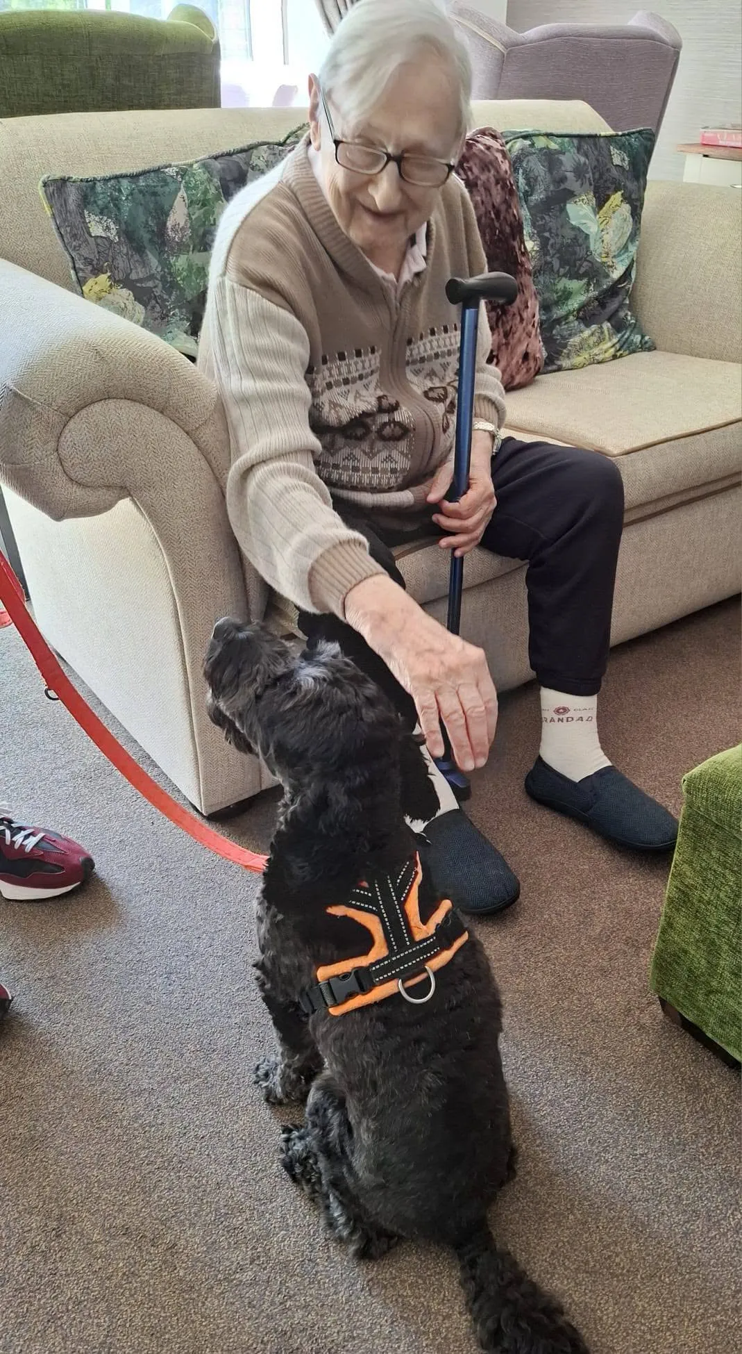 Pet Therapy