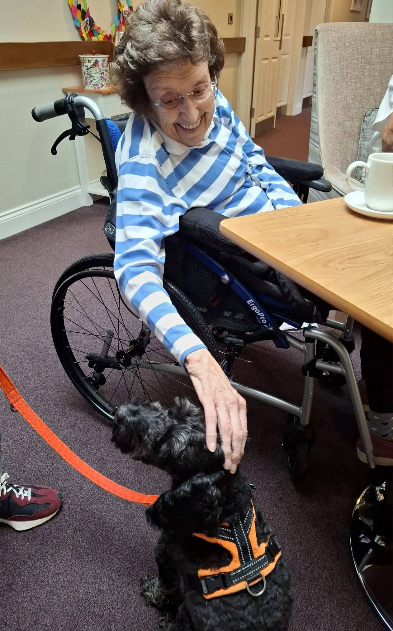 Pet Therapy