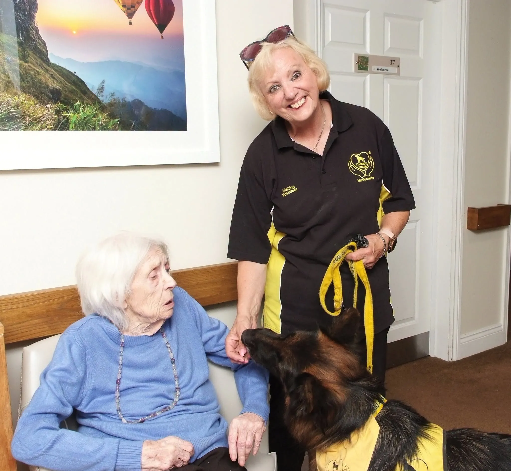 Therapy dogs