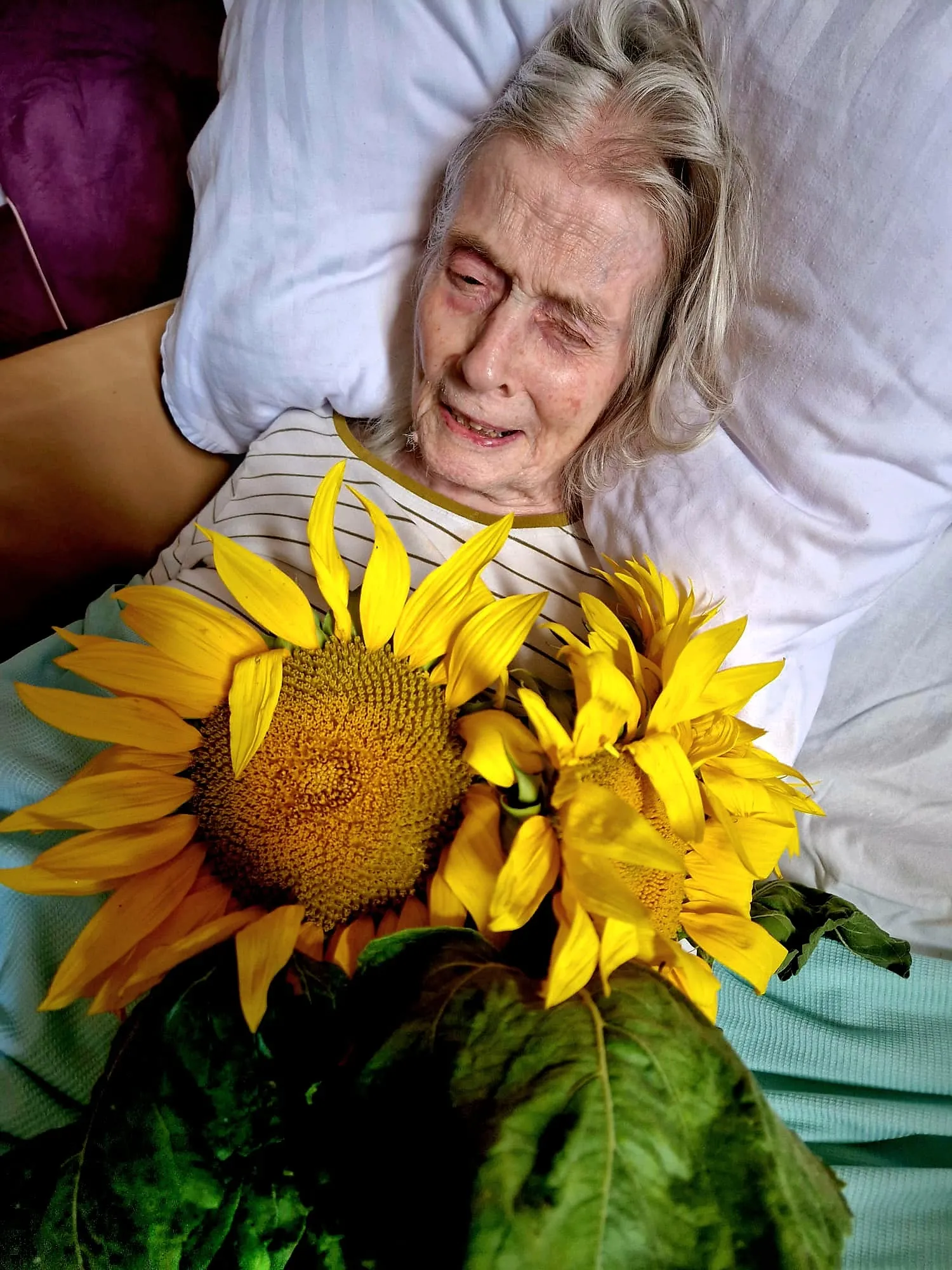 Sunflower Day 