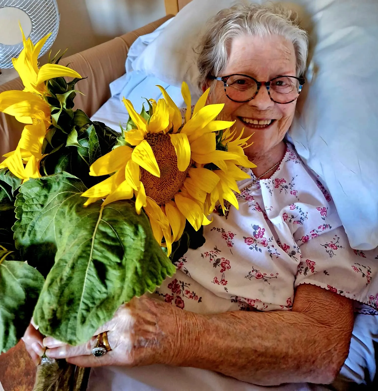 Sunflower Day 