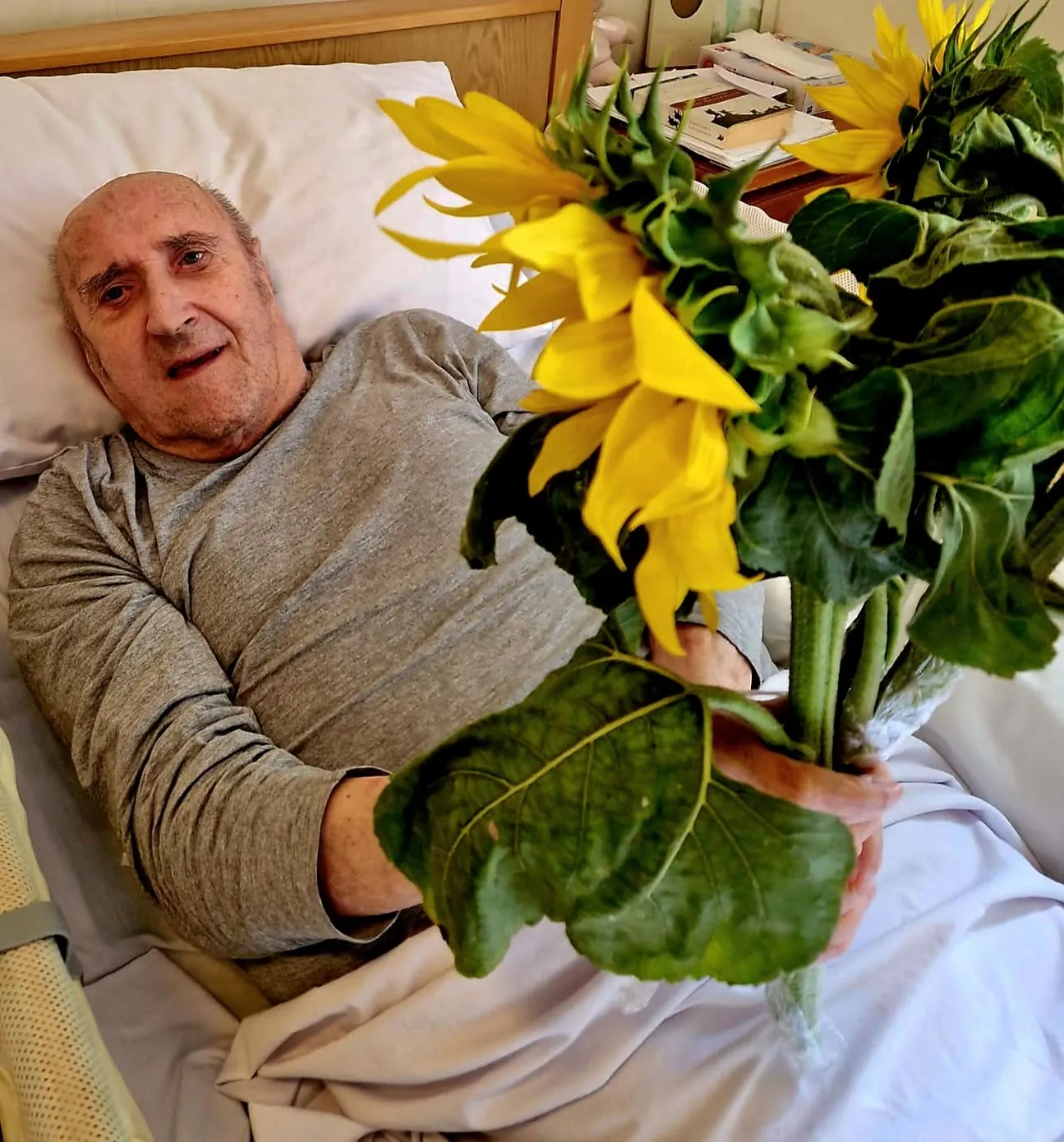 Sunflower Day 