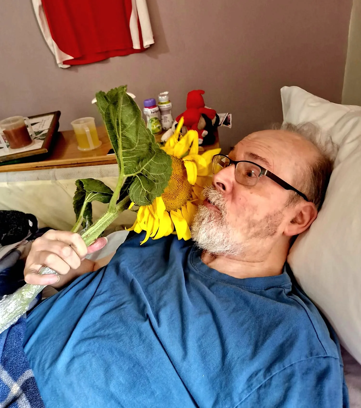 Sunflower Day 