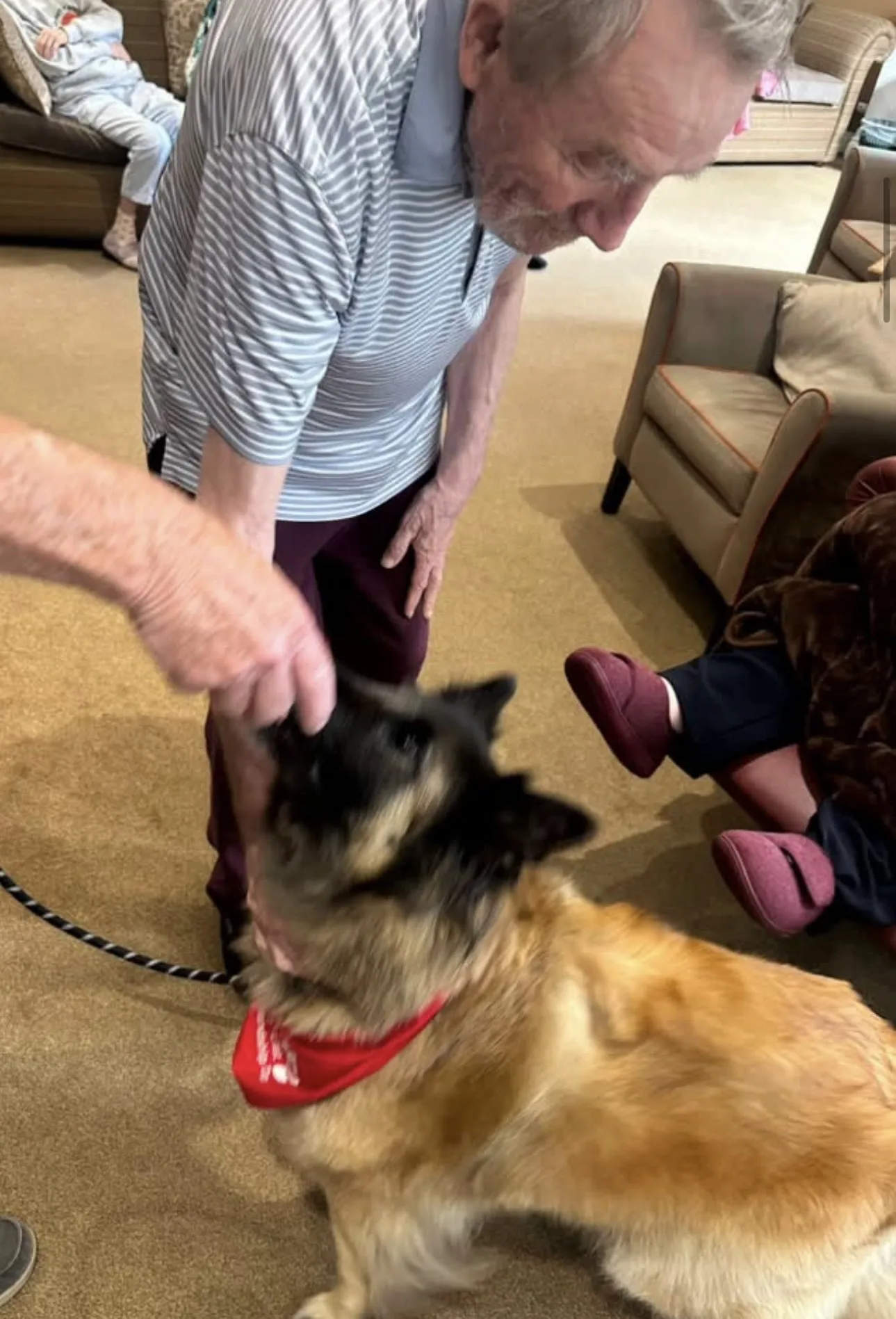 A Paws-itively Wonderful Afternoon