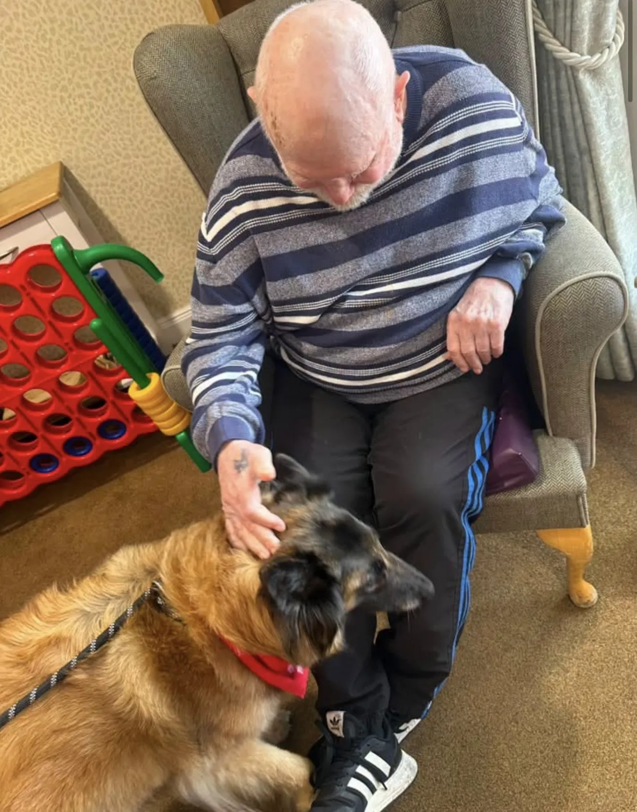 A Paws-itively Wonderful Afternoon