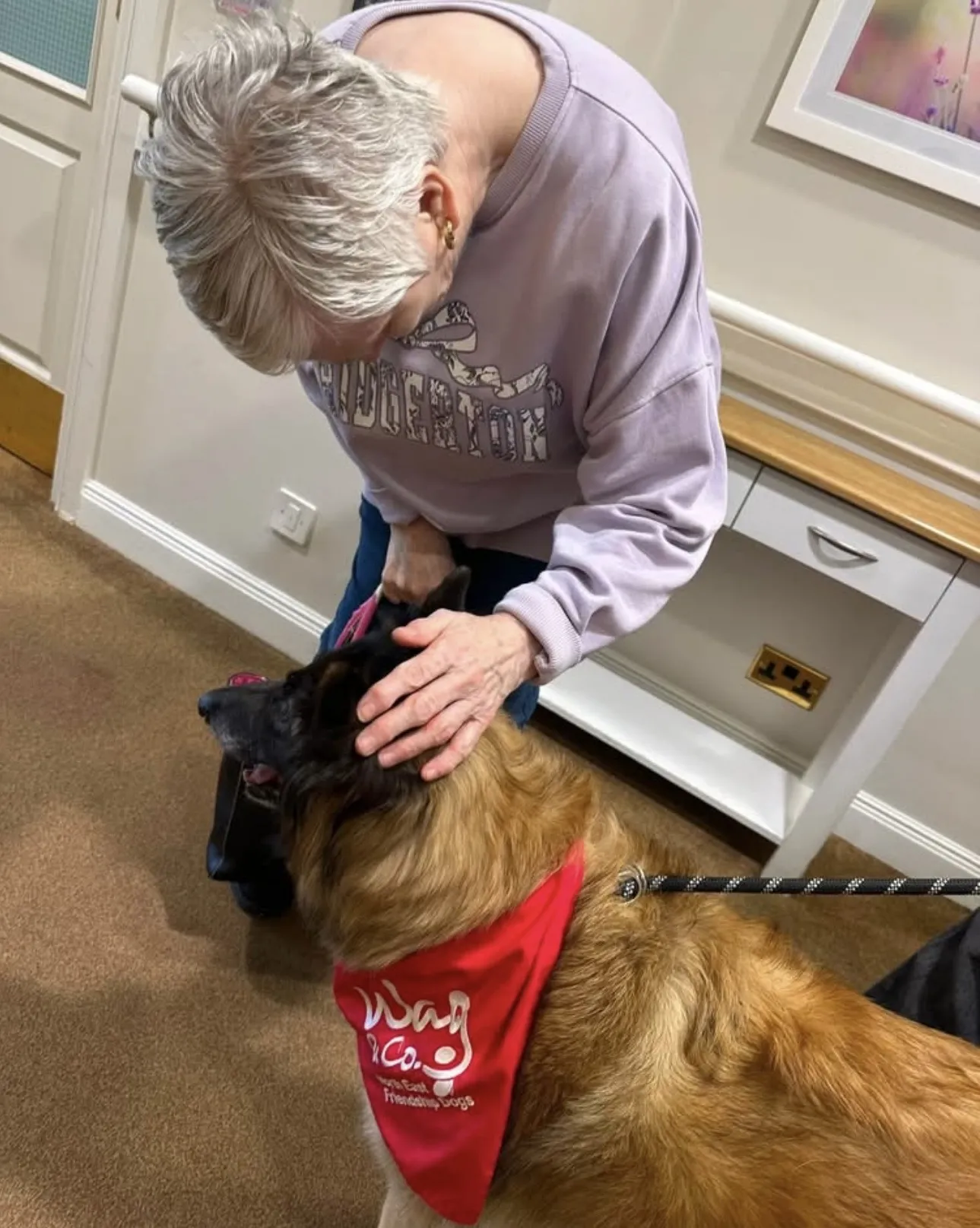A Paws-itively Wonderful Afternoon