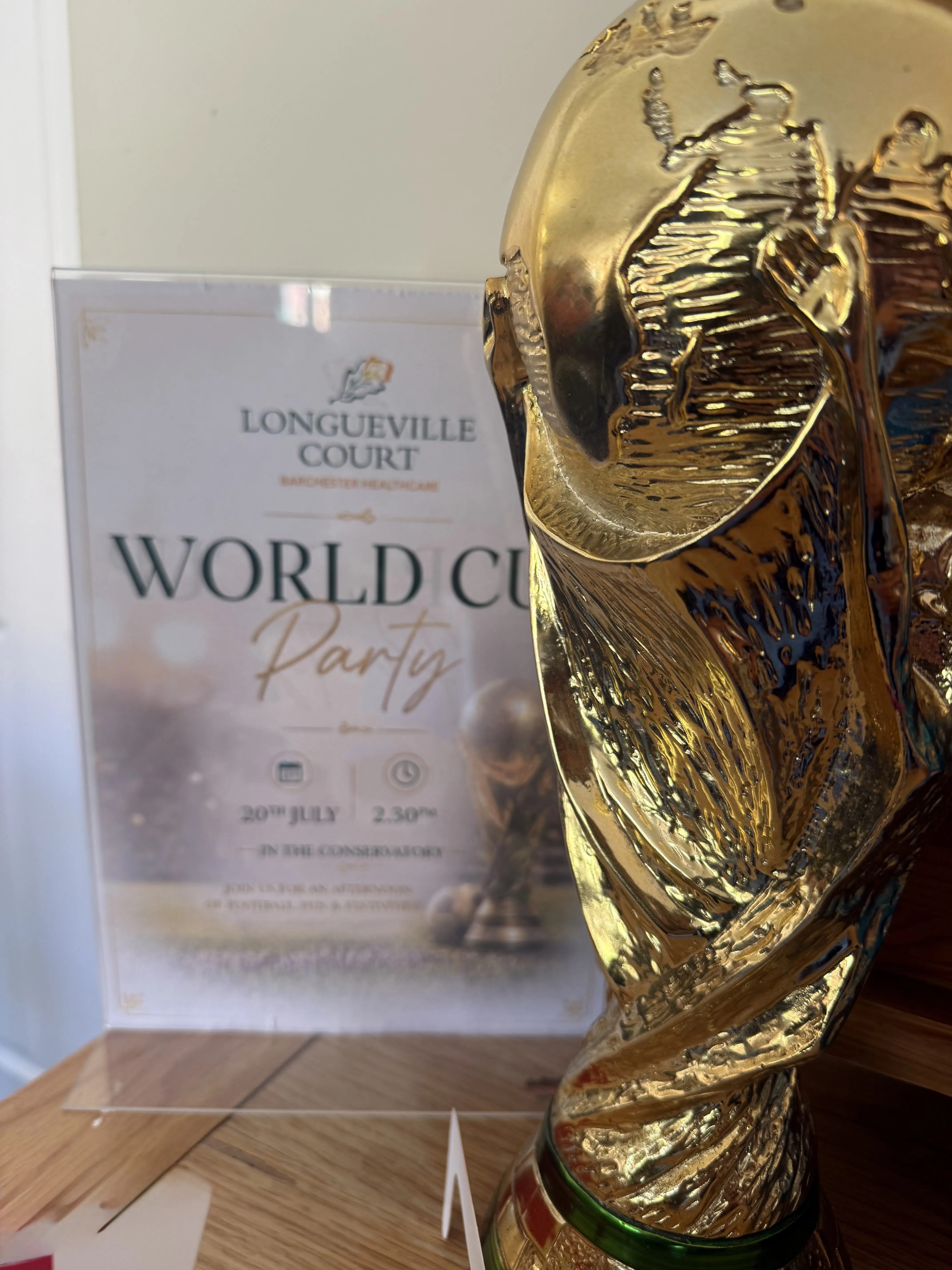World cup final celebrations 