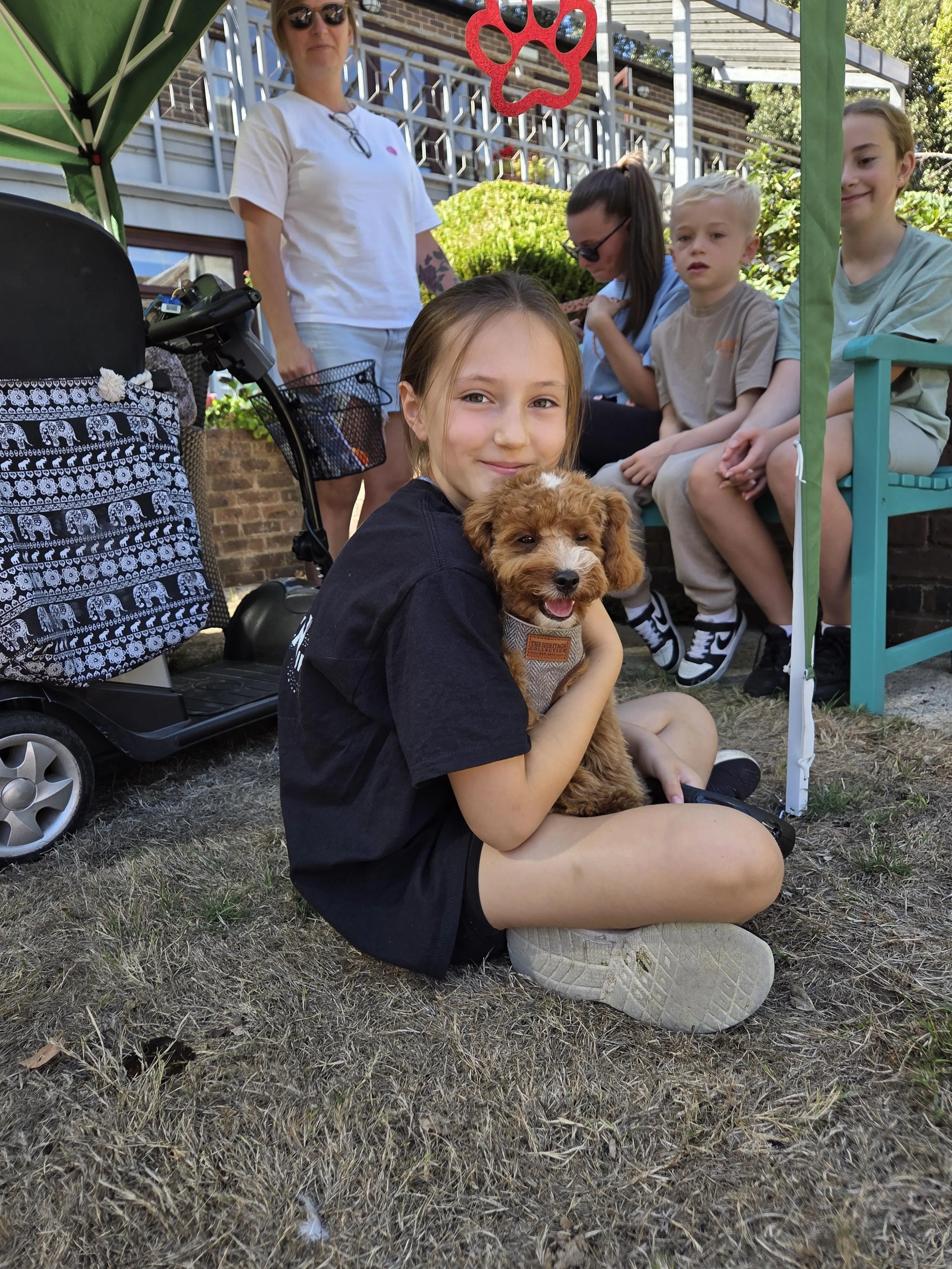 Successful Dog Show Brings Canine Enthusiasts Together