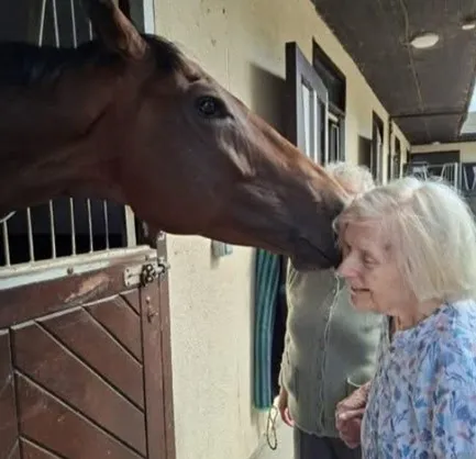 Kings Ride racing Stables