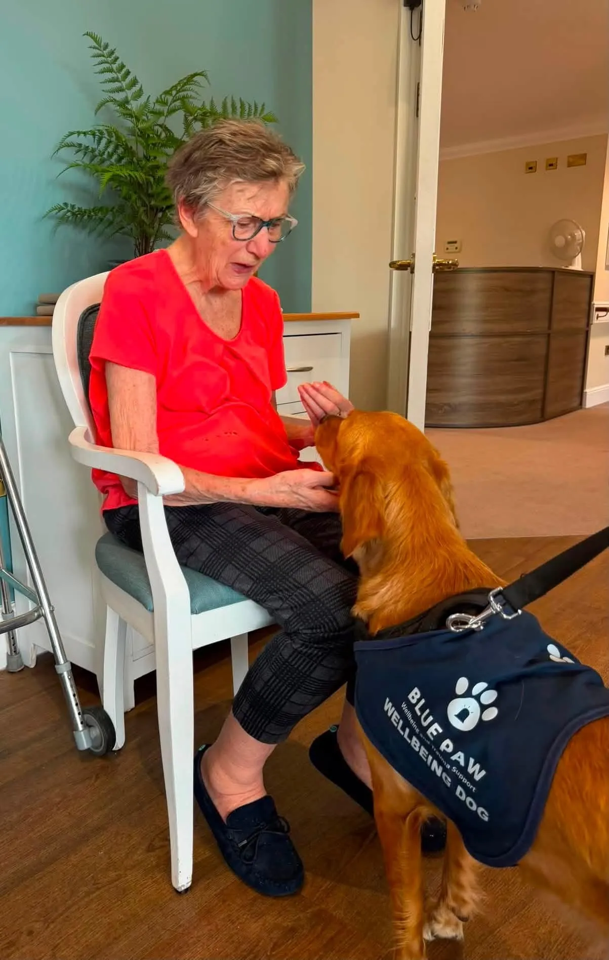 A Very Special Visitor at Hampton Grove! 