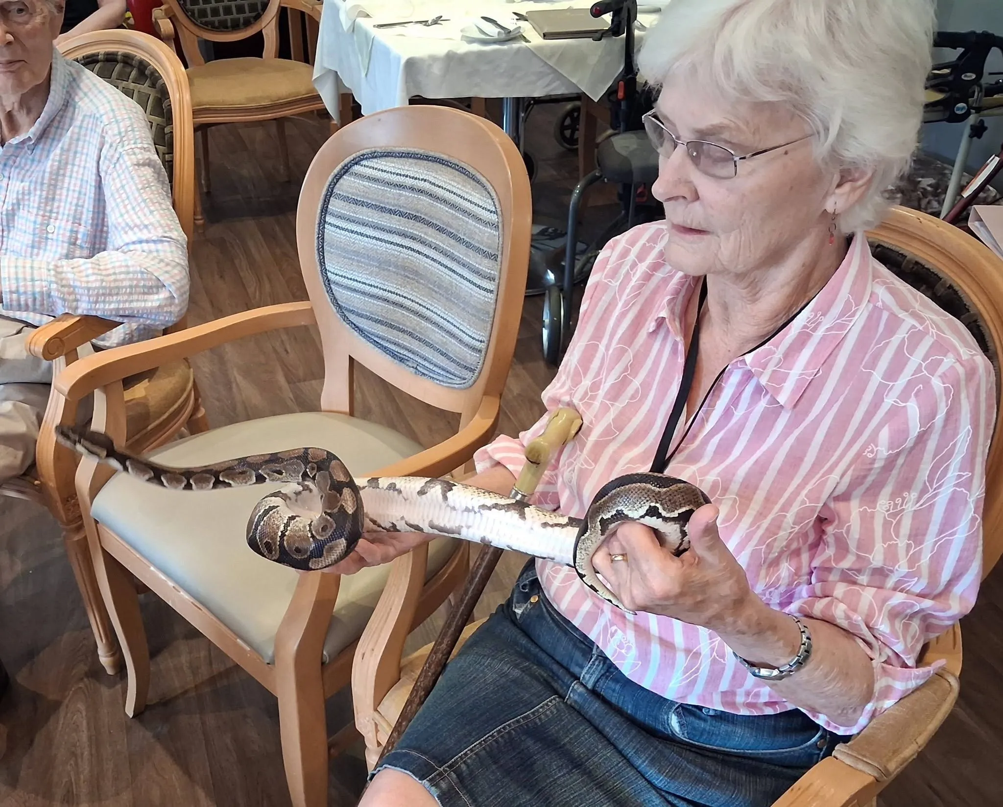 Reptile Visit