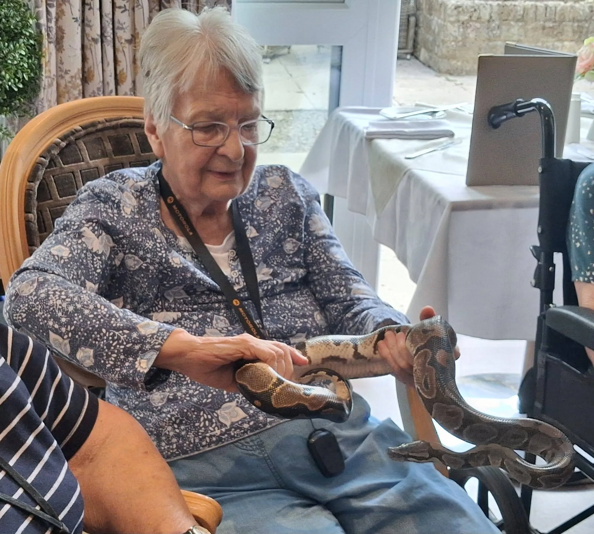 Reptile Visit
