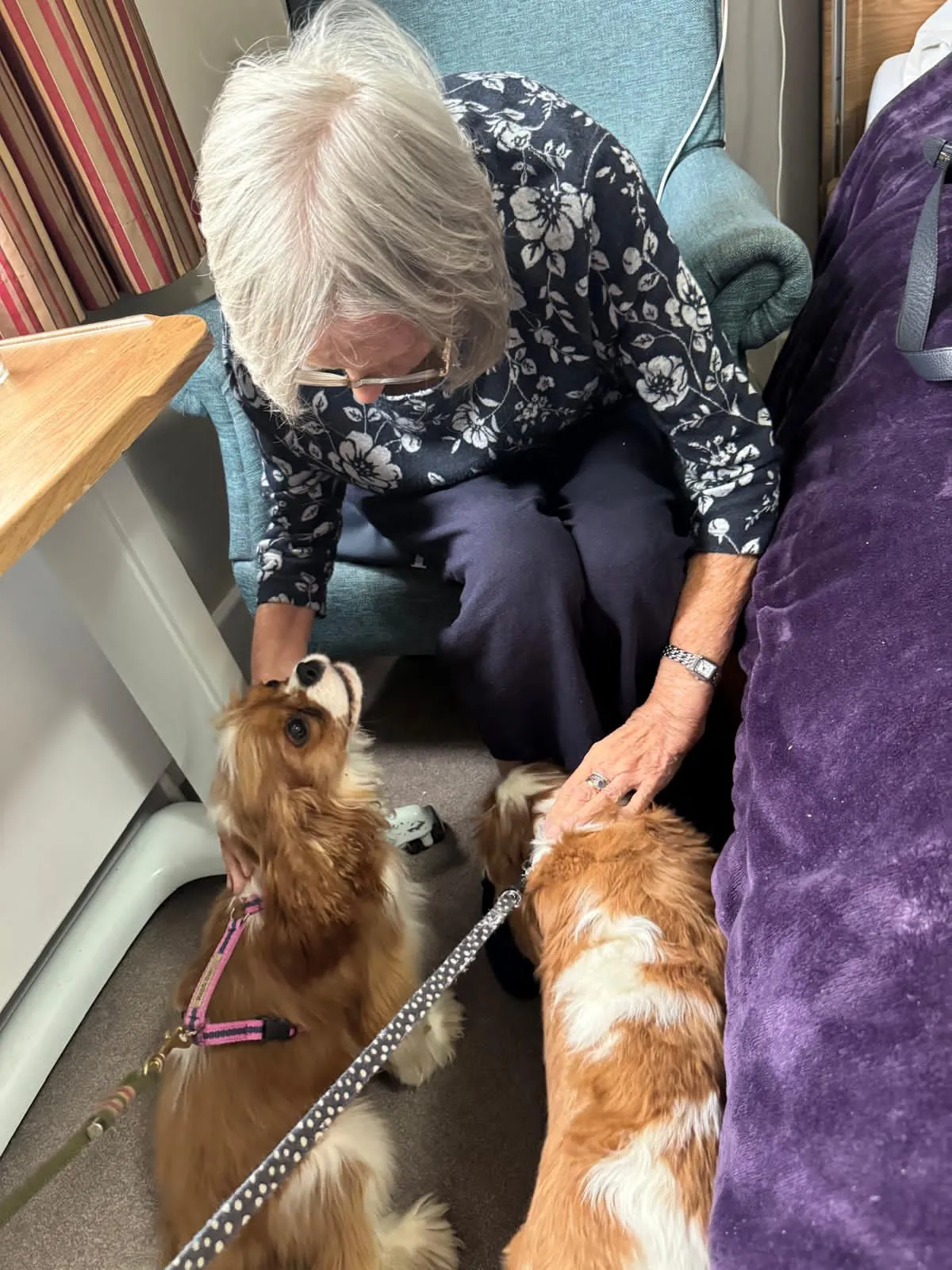 Friday Cuddles with Buddy and Flynn