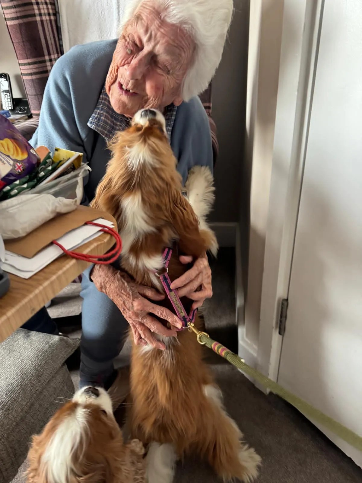 Friday Cuddles with Buddy and Flynn