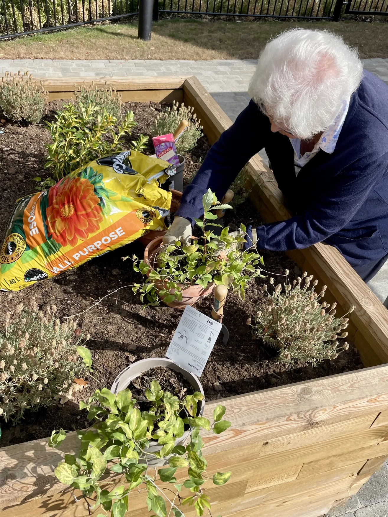 Pottering In The Garden