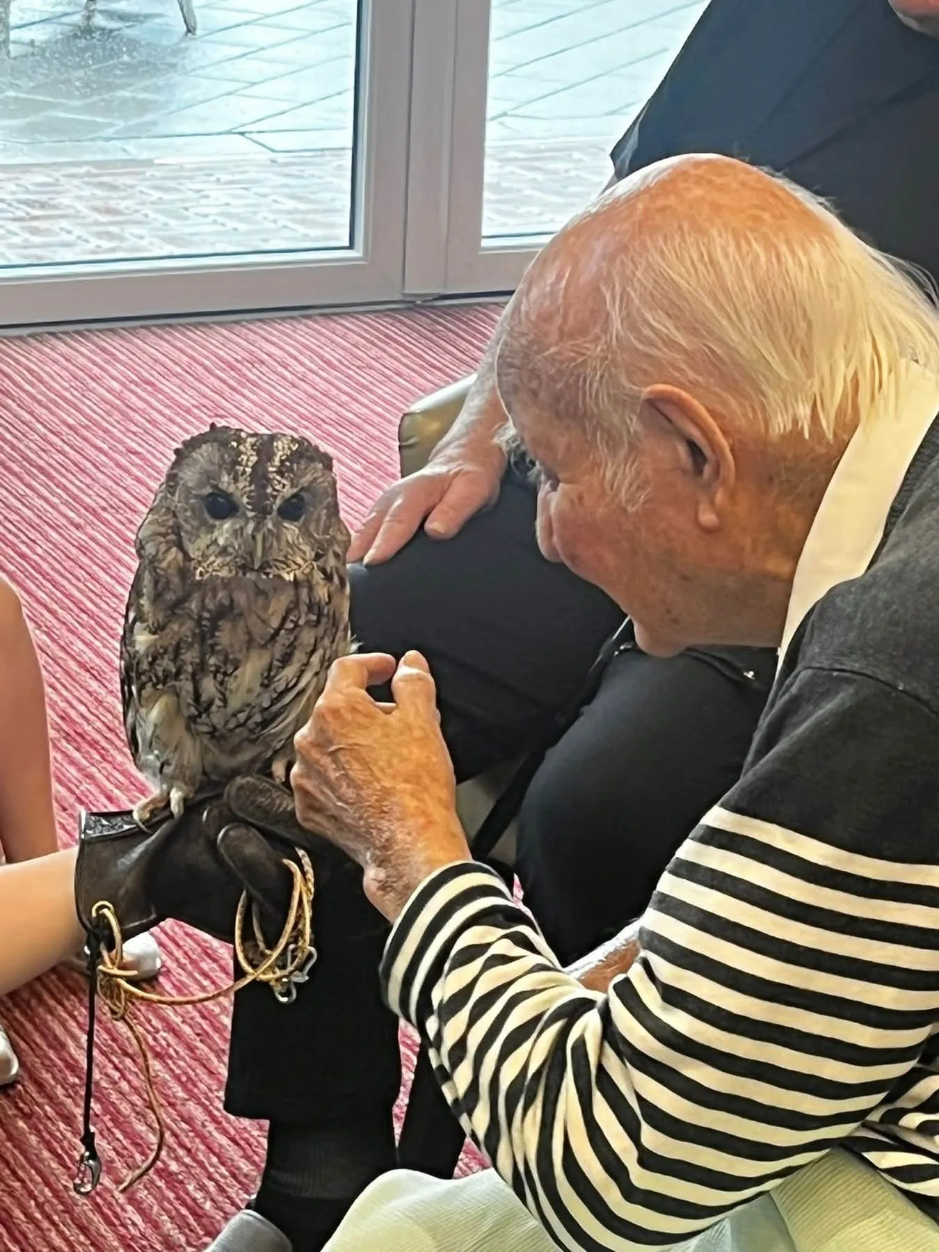 Wild About Britain Visit