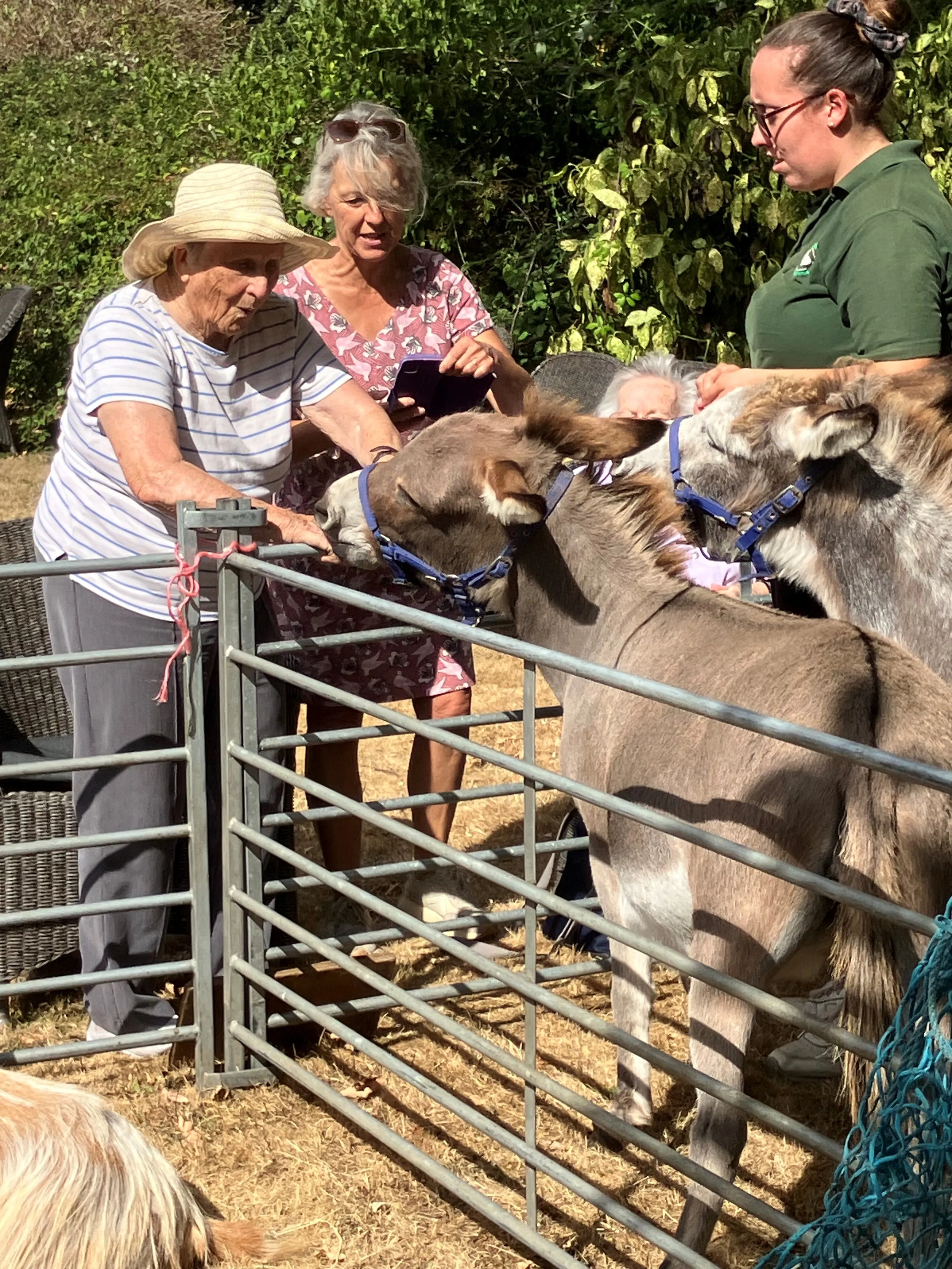 What a Fantastic Farm experience.