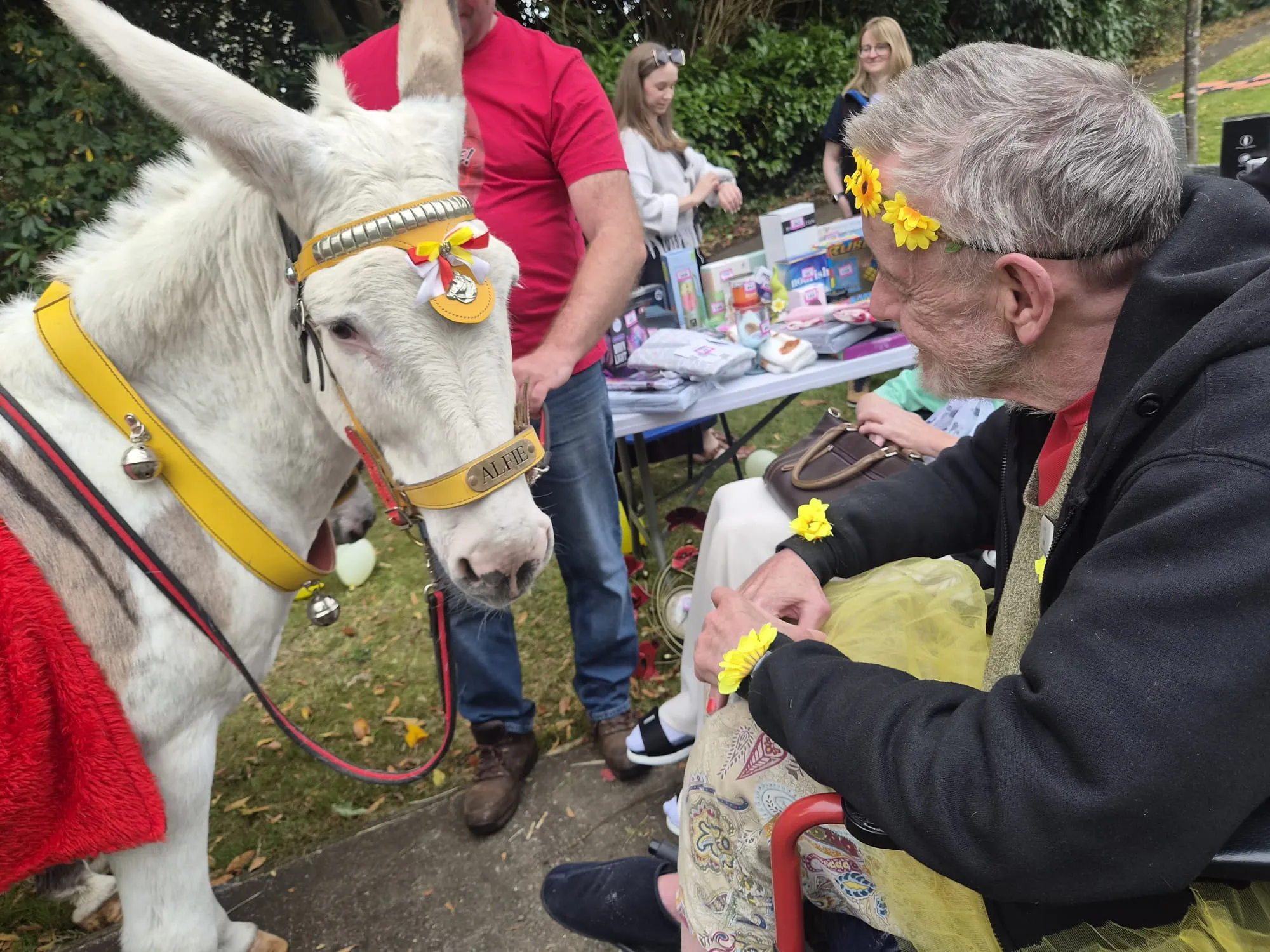 Summer Fayre