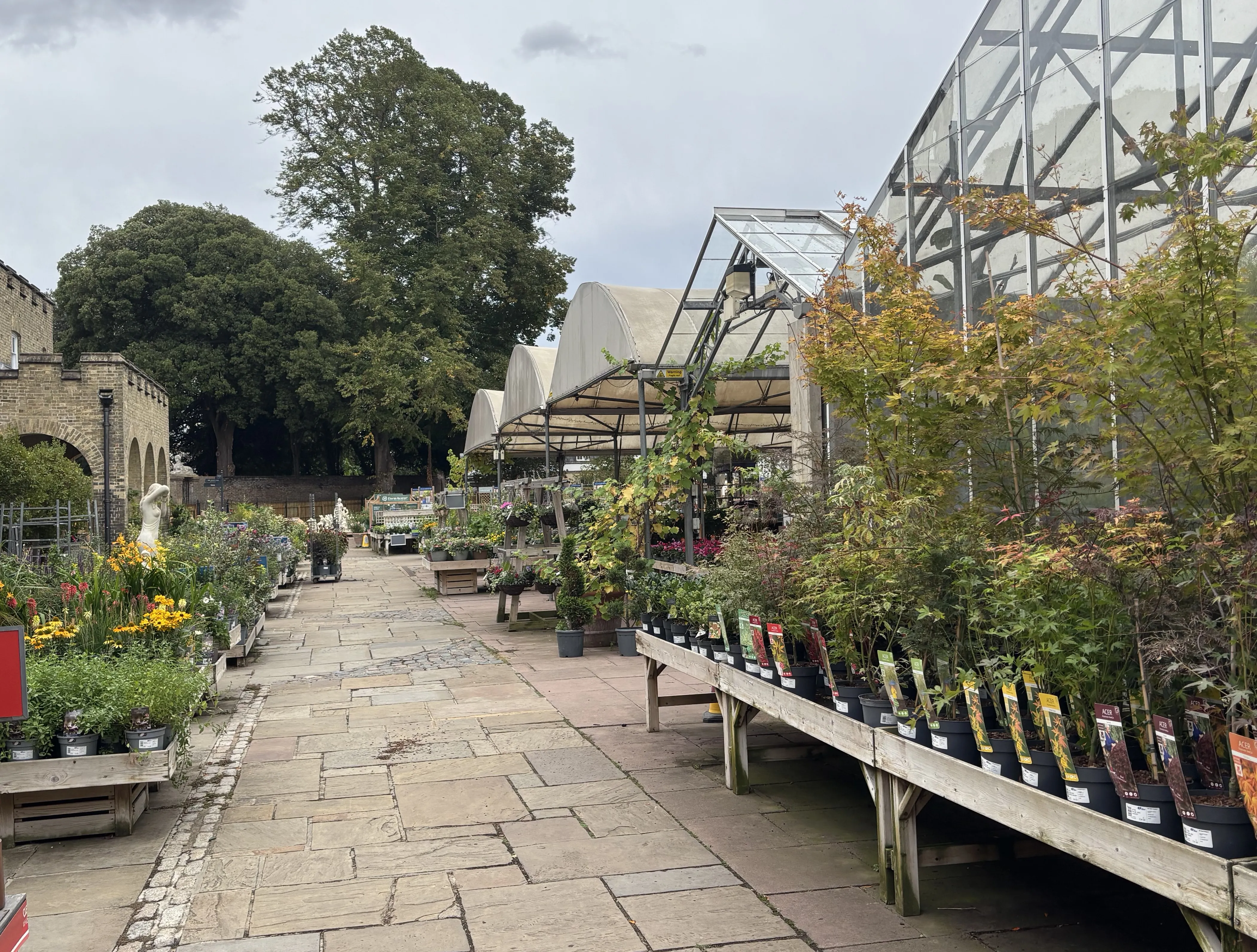 Outing to Hillier Garden Centre at Syon Park