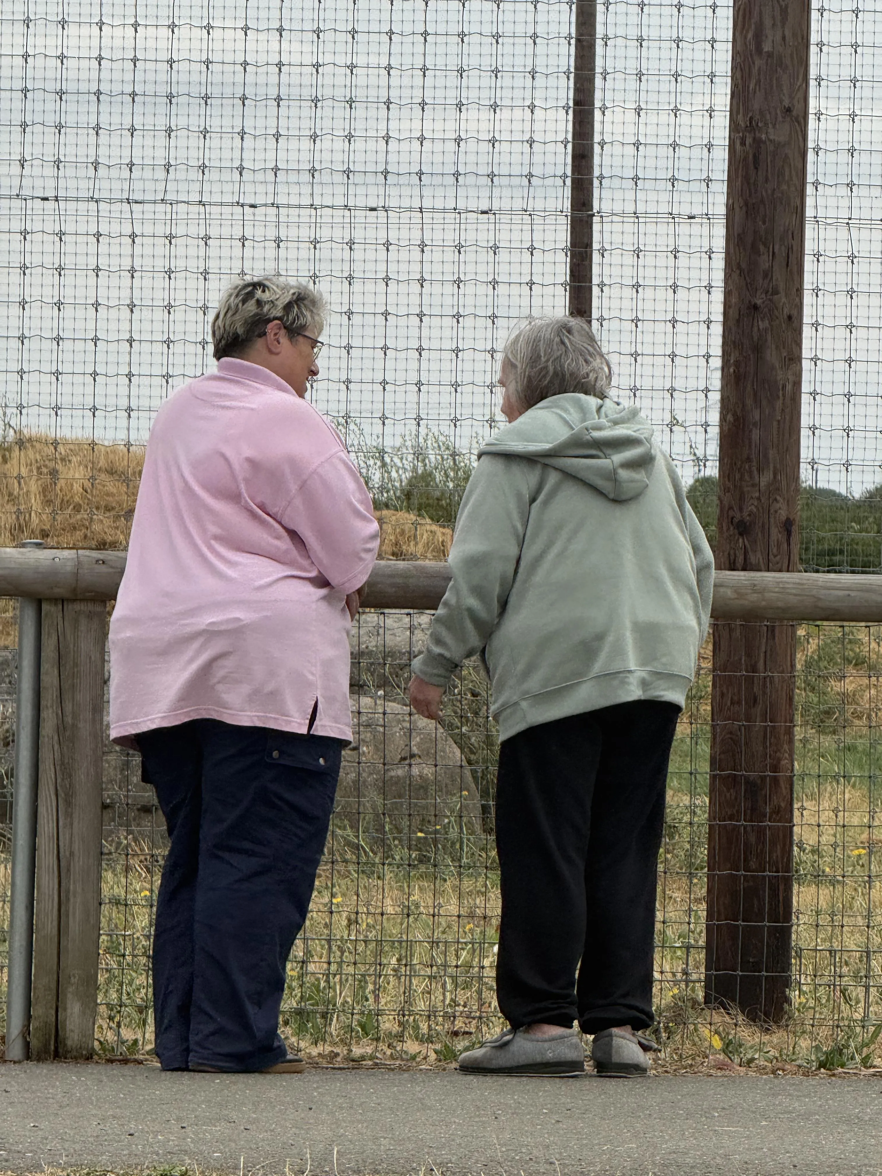 Longueville Court Residents Enjoy a Day at the Zoo